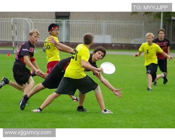 程帅澎：在科技与艺术交汇处的创新探索与人生旅程