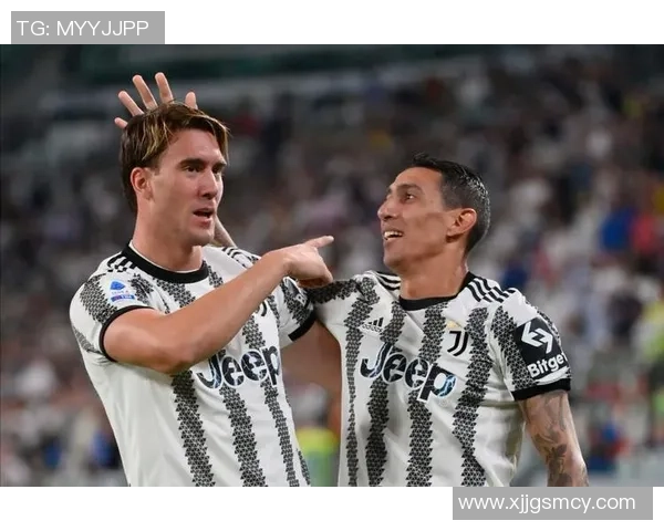 辛达卡拉与查维斯历史对决回顾与战绩分析