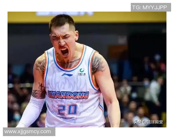 陶汉林：从篮球场上的拼搏者到社会公益的践行者，展现多元人生的精彩旅程